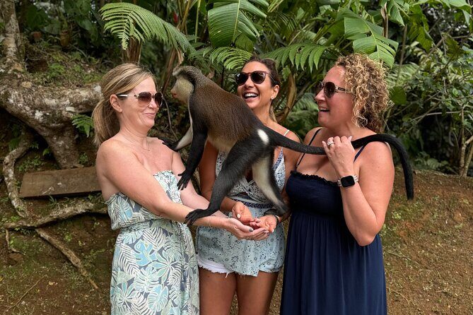 Grenada Nature and Heritage Escape Private Tour with Pickup - In-Depth Look at the Itinerary