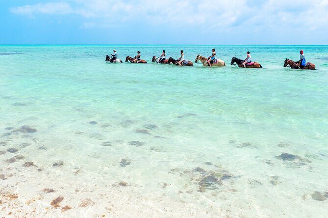 Group Beach and Ocean Horseback Adventure in Providenciales - Is It Worth the Price?