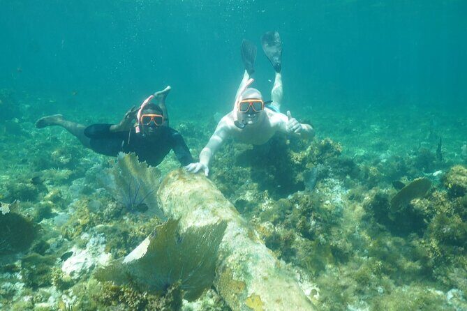Guided Snorkeling at the Anchor and Cannon Reef in Negril - Logistics and What’s Included
