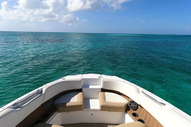 Half-Day Luxury Private Rose Island Pigs and Turtles Excursion - Detailed Breakdown of the Itinerary