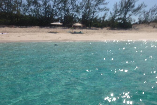 Half Day Snorkeling Tour in the Bahamas - What the Included and Not Included Means for You