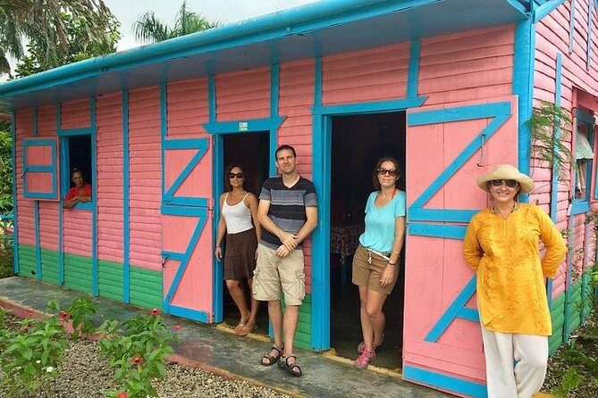 Half-Day Tour: Dominican Discovery Of a Culture - Authenticity and Cultural Insights