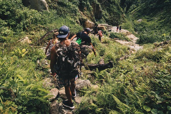 Half-Day Yunque Rainforest Waterslide & rope swing Guided Tour - Who Will Love This Tour?
