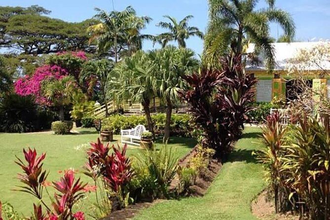 Half-Island Tour of St Kitts - Guides and Commentary