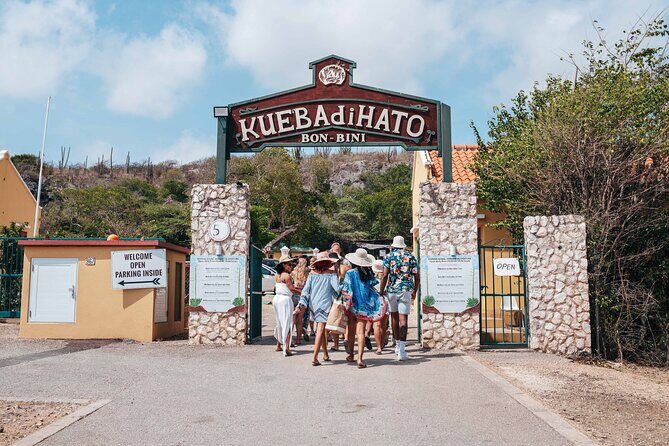 Hato Caves, Turtles & Beach - What the Reviews Say