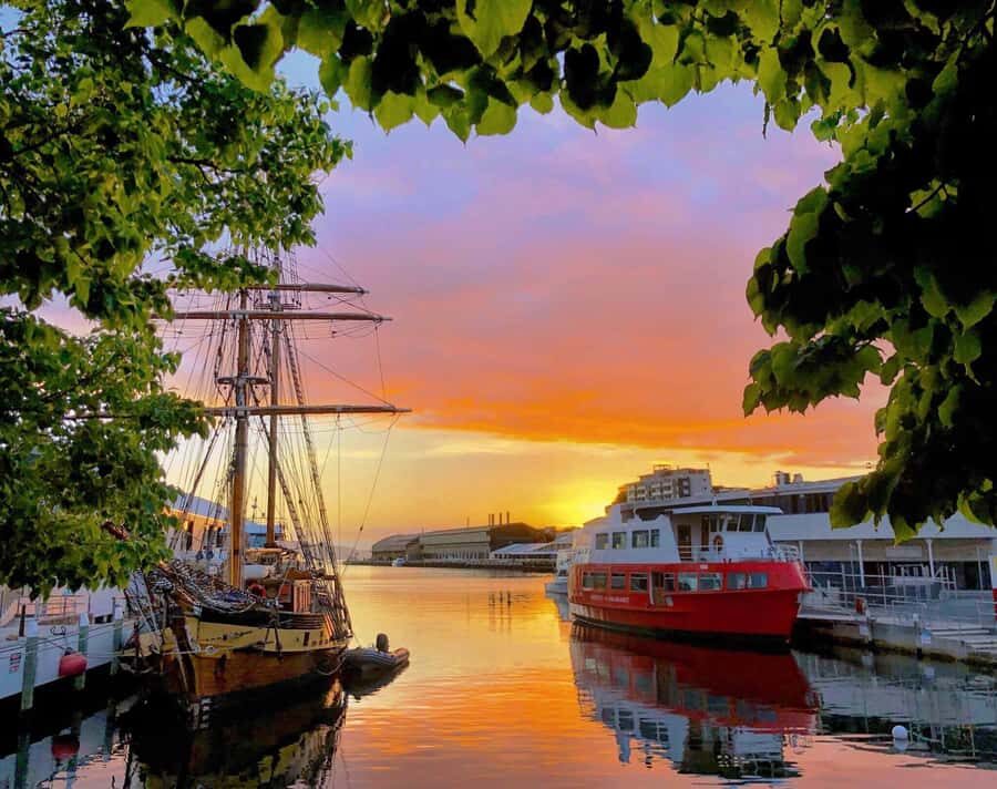 Hobart: Morning River Cruise - Who Should Consider This Tour?