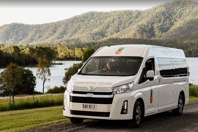 Hop on Hop Off Bus - Tamborine Mountain - Curtis Falls and Nature Walks