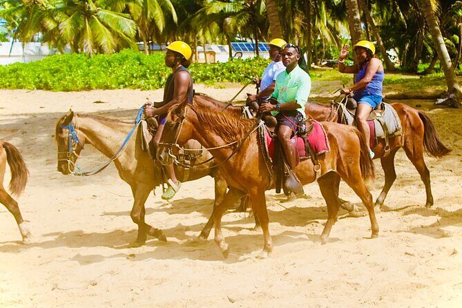 Horse Back Riding Adventure in Punta Cana - Who Should Consider This Tour?