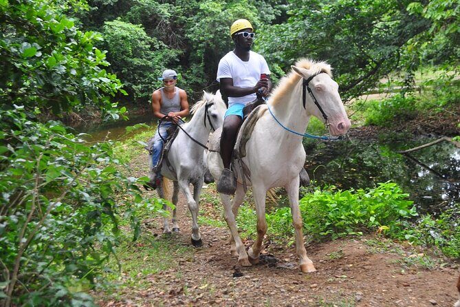 Horseback Riding at Macao Beach - Authenticity and Value