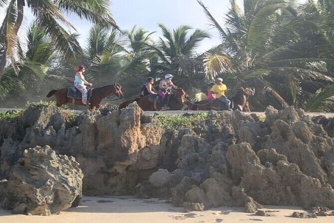 Horseback Riding to Maimon River from Punta Cana - The Cost and Its Value
