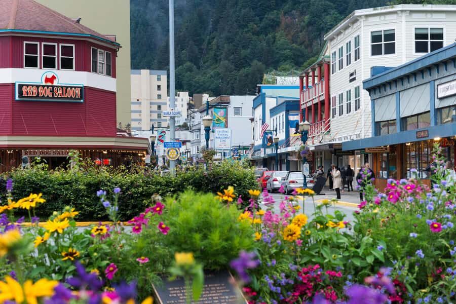 Juneau: City Highlights Bus Tour - Authenticity and Local Flavor