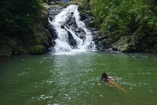 Jungle and Waterfall Adventure - Who Will Love This Experience?