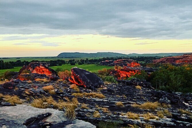 Kakadu Day Tour-Yellow Water-Nourlangie-Ubirr-Cahills-Fogg Dam - In-Depth Itinerary Breakdown