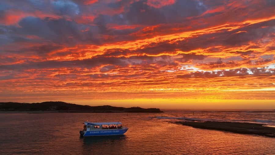 Kalbarri: Murchison River Wilderness Wildlife Cruise - Who Will Love This Experience?