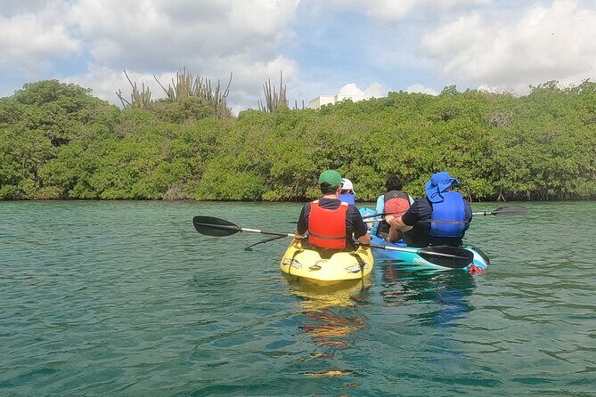 Kayak Tour at Mangel Halto and Spanish Lagoon - What Travelers Are Saying