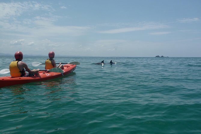 Kayaking with Dolphins in Byron Bay Guided Tour - The Reviews: Real Experiences, Real Highlights