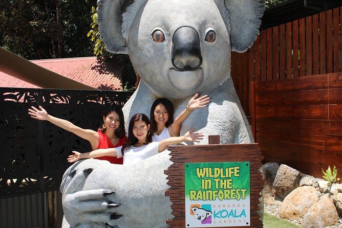 Kuranda Koala Gardens and Birdworld Admission Tickets - The Itinerary Breakdown