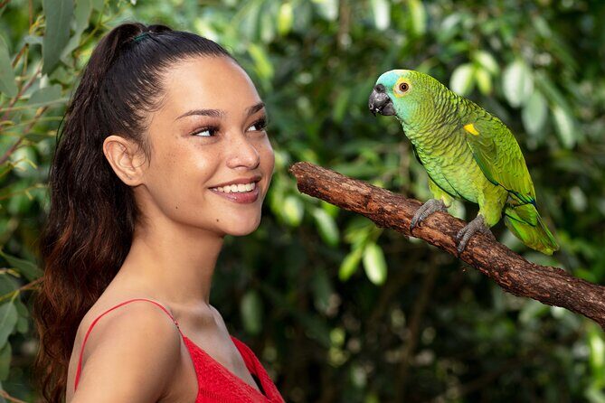 Kuranda Wildlife Experience Deluxe Multi Attraction Pass - The Australian Butterfly Sanctuary