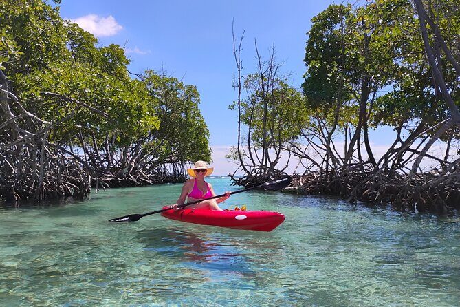 La Parguera Boat Charter with Captain: Kayak & Snorkel - Authenticity and Reviews