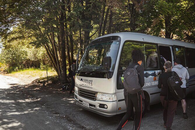 Lake Marian Guided Hike with Transfers, Lunch & Morning Tea - Who Should Consider This Tour?