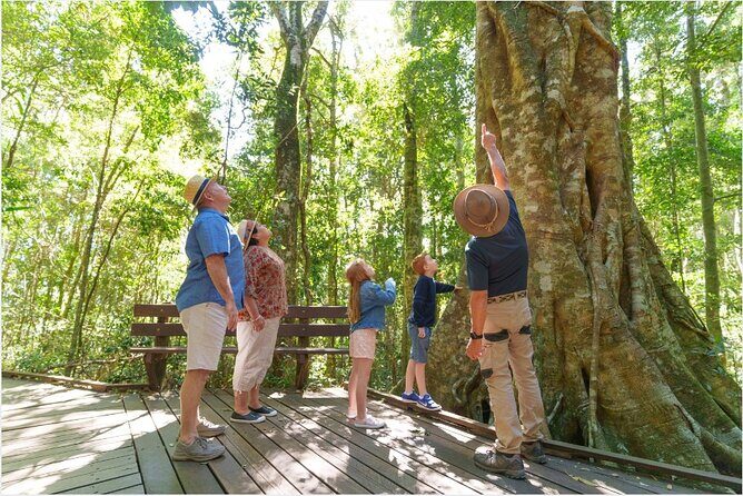 Lamington National Park, O'Reilly's & Vineyard Tour - Transportation and Comfort