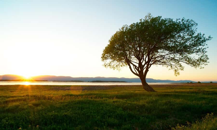 L'Isle-aux-Grues: Secret Islands of St. Lawrence Expedition - Why This Tour Is Worth Considering