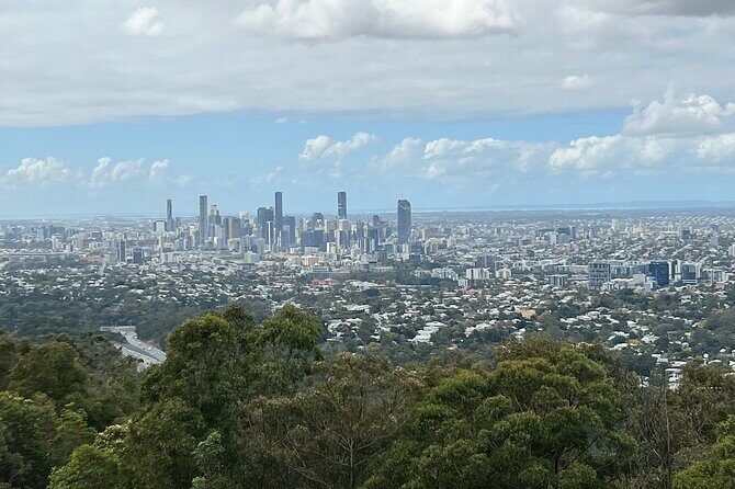 Lone Pine, Brisbane Highlights and Lunch! - Who Is This Tour Best For?