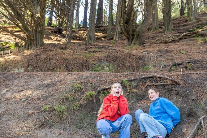 Lord of the Rings 1/2 day Tour to rule them all incl. Weta Tour - Who Would Love This Tour?