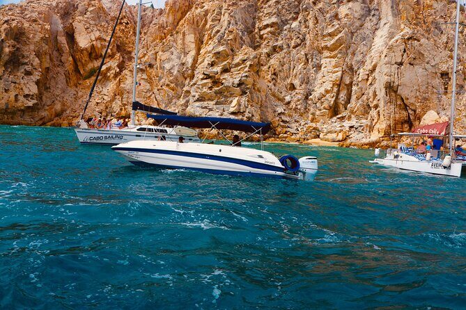 Luxury yacht Whale watching Cabo San Lucas - Final Thoughts