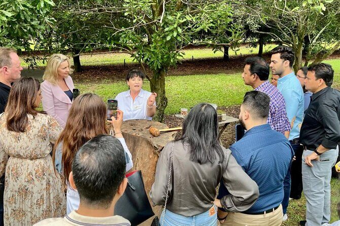 Macadamias Australia Orchard Tour in Bundaberg - Why You Should Consider This Tour