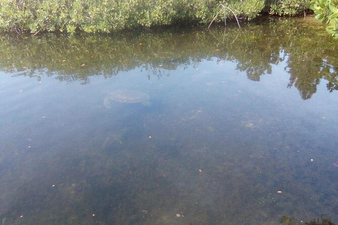 Mamma Gal East End Native Experience - Who will love this tour?