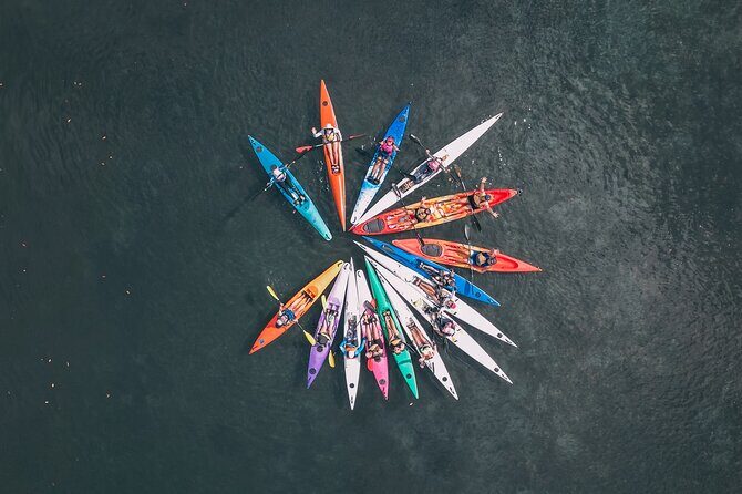 Mangroves and Mansions Guided Kayak Tour on the Noosa River - The Experience: What Sets It Apart