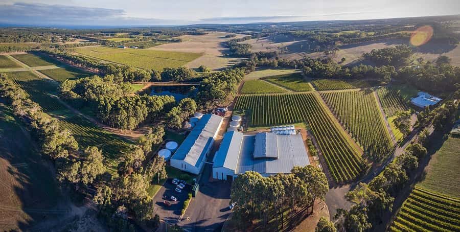 Margaret River: Full-Day Wine Tour - Why This Tour Works Better Than a Self-Guided Day