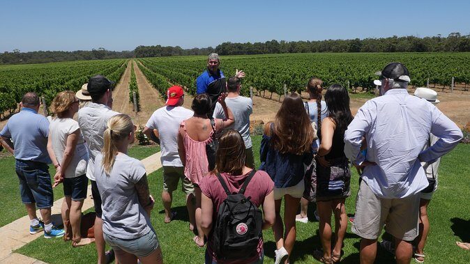 Margaret River Wine Tour: The Full Bottle - Authentic Feedback from Travelers