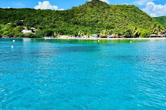 Martinique : Observation des dauphins et snorkeling - Practical Details and Tips