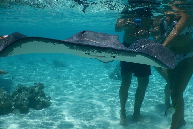 Medium Combo in Moorea of 2 hours of Jetski and 2h30 of Quad - Authentic Experiences and Traveler Feedback