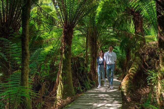 Melbourne to the Great Ocean Road & Grampians 3 Day Original Tour - Is This Tour Right for You?