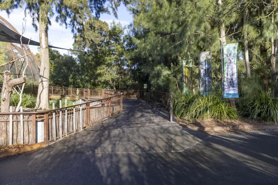 Melbourne Zoo: Australian Wildlife Experience Ticket - The Real Value for Travelers