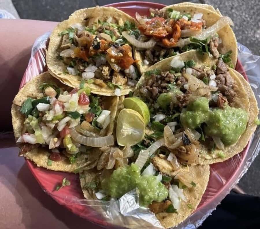 Mexico : Best Street Food Tour With A Local Guide - What to Expect on the Tour
