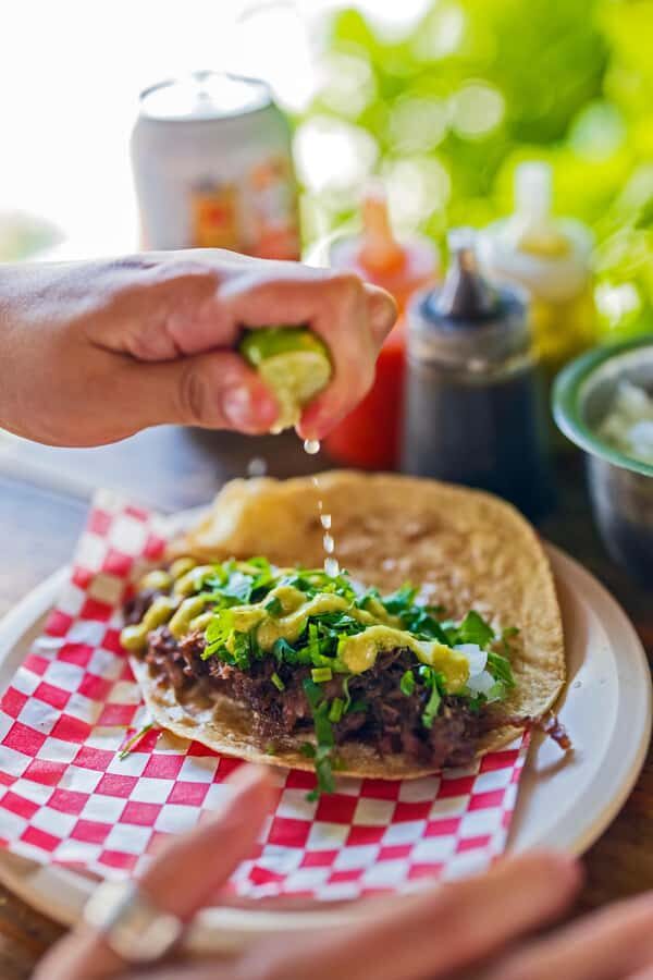 Mexico City: 10+ Tastings & Local Gems with Sherpa Food Tour - The Itinerary Breakdown