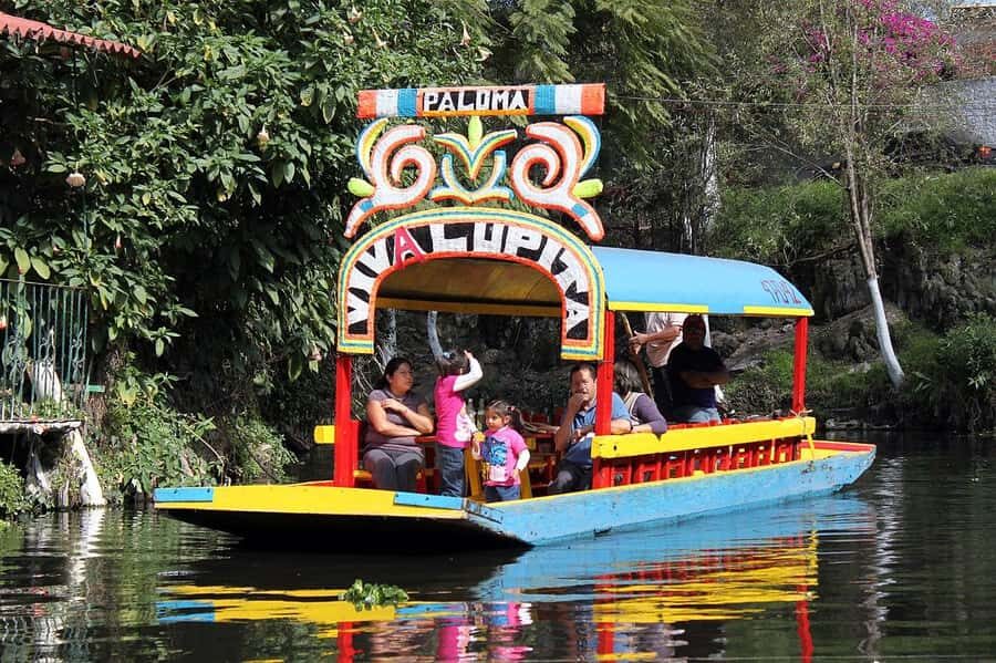 Mexico City: Party on a trajinera through Xochimilco with snacks, music, and drinks - Who Will Enjoy This Tour?