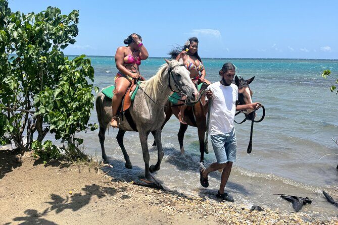 Montego Bay Beach Horseback Riding Tour - What the Experience Looks Like