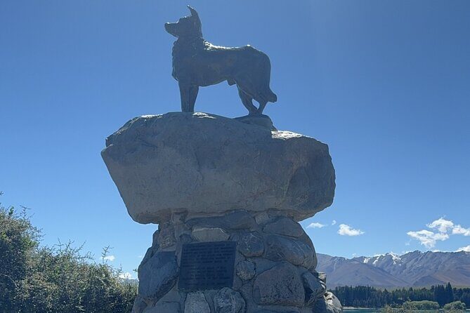 Mt. Cook Private Day Trip From Queenstown with Lake Tekapo - The Experience: What It Means for You