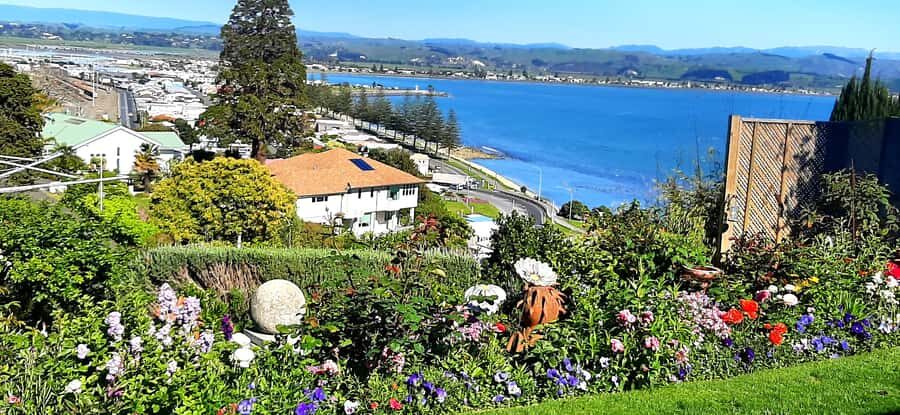 Napier: Art-Deco + Te Mata Peak+ Garden Walk + Wine Tasting - The Itinerary in Detail