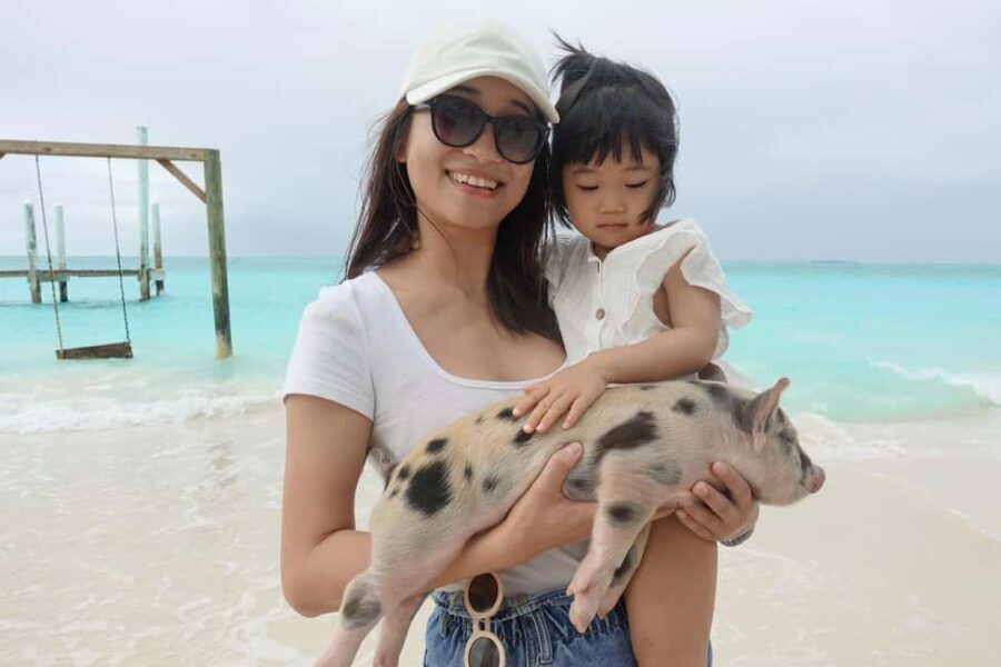 Nassau ATV & Swimming Pigs Tour - The Value of the Tour