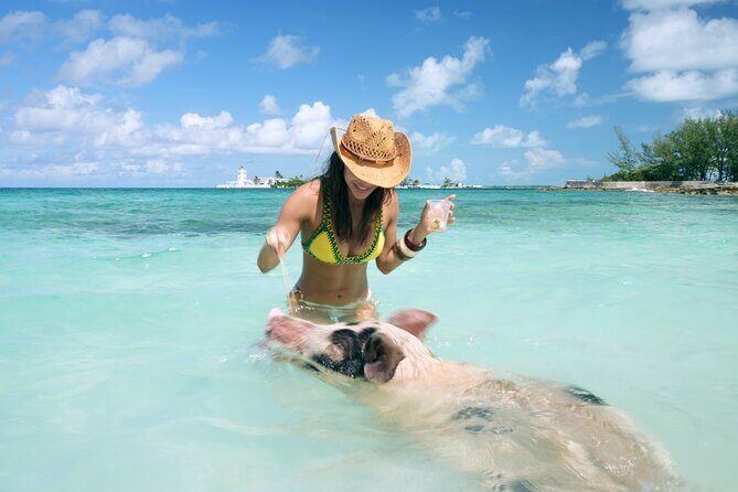 Nassau Swimming Pigs: Snorkeling, Lunch & Private Beach Club - Who Will Love This Tour?