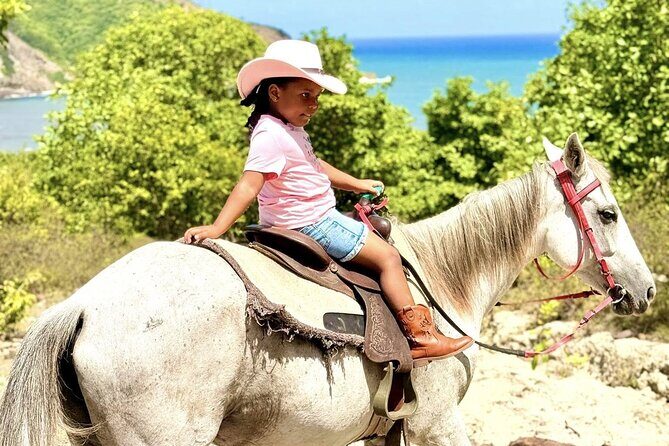 Nature & Historical Horseback Riding Tours St. Lucia - Who Would Enjoy This Tour?