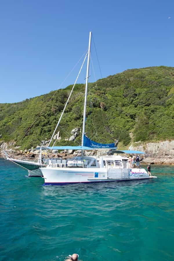 Nelson Bay: Marine Discovery Cruise with Snorkeling - The Value of the Experience