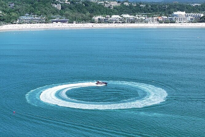 Noosa Ocean Adventures: Dolphins - The Marine Wildlife: More Than Just Dolphins