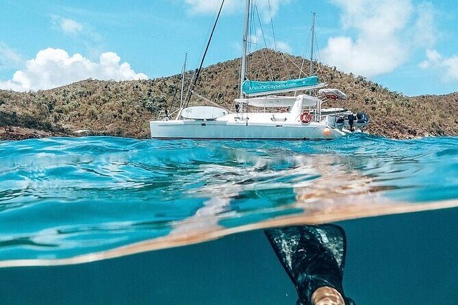 Norman Island - The Caves & The Indians - Sailing & Snorkel Tour - Snorkeling and Marine Life